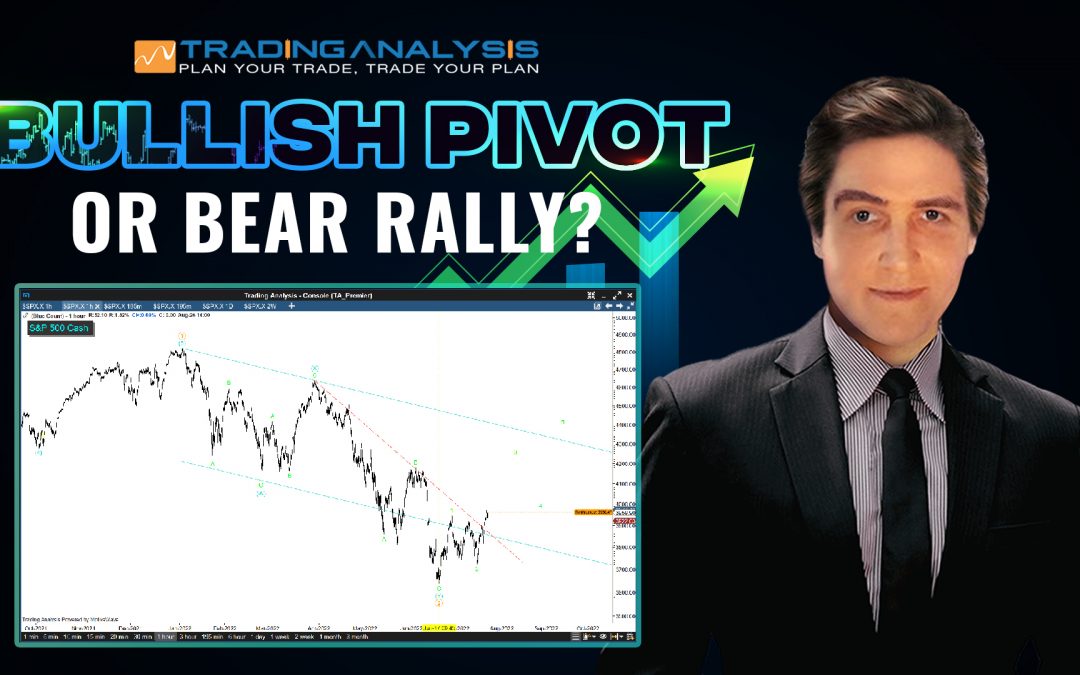 Bull Pivot vs Bear Market Rally