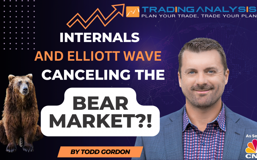 Internals and The Elliott Wave Count Canceling The Bear Market?!