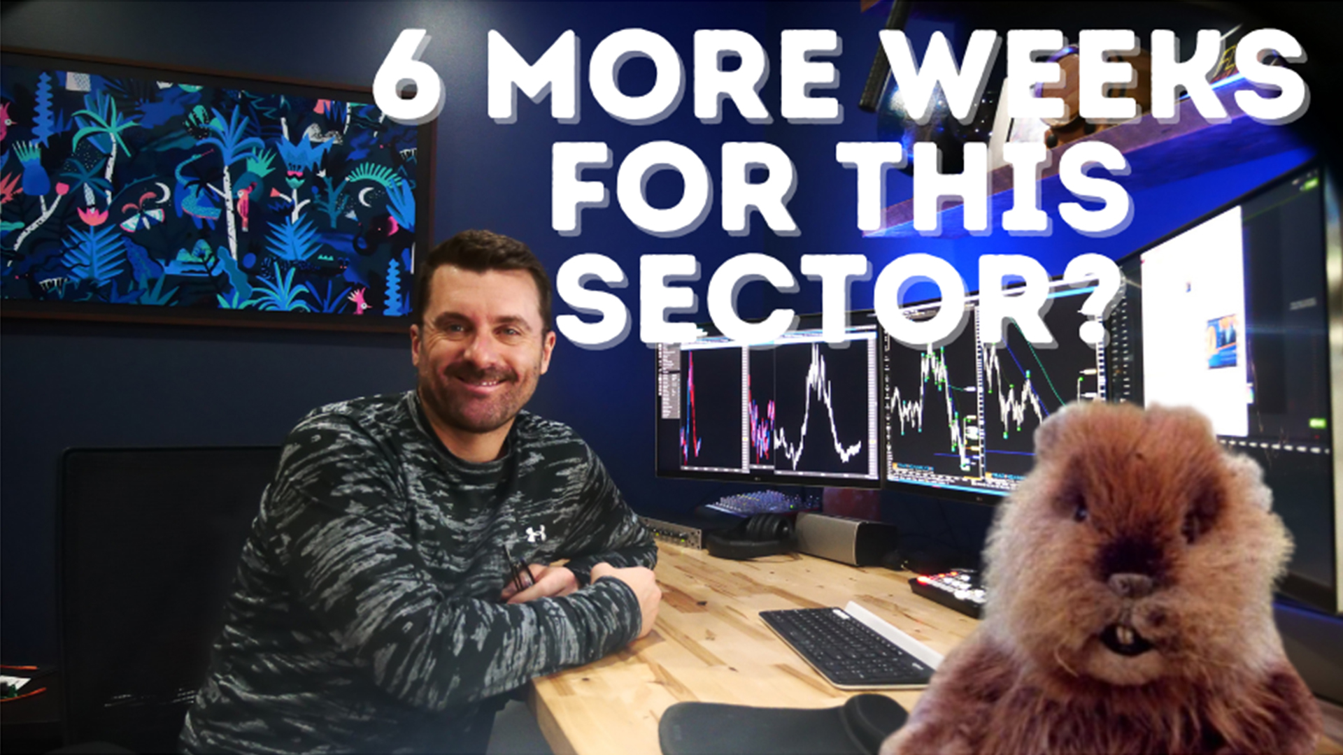 6 More Weeks Of Hibernation For This Sector?